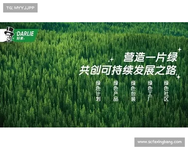 以四空区为核心推动绿色发展 打造可持续未来经济新格局 以四空区为核心推动绿色发展 打造可持续未来经济新格局